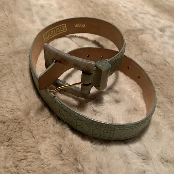 Carlisle | Accessories | Carlisle Snakeskin Mint Belt | Poshmark display picture 1